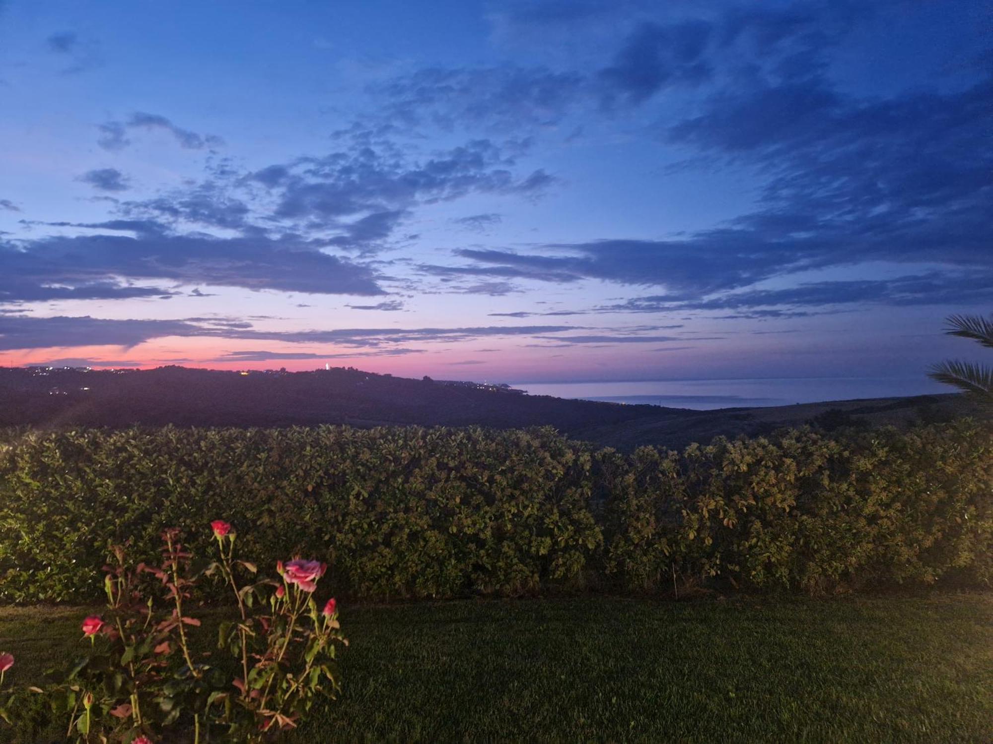 Colle Selvotta Bed & Breakfast Vasto Exterior photo